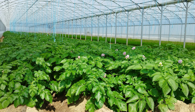 primeur à Saint-Sauveur-sur-École près de Melun en Seine-et-Marne 77