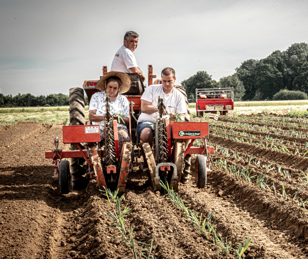 exploitation fruits et légumes à Saint-Sauveur-sur-École près de Melun en Seine-et-Marne 77