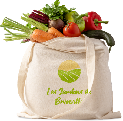 vente de légumes de saisons à Saint-Sauveur-sur-École près de Melun en Seine-et-Marne 77