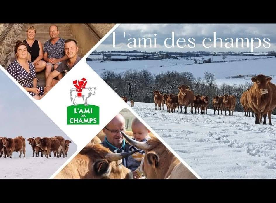 Vente de VIANDE - DIRECT ELEVEUR